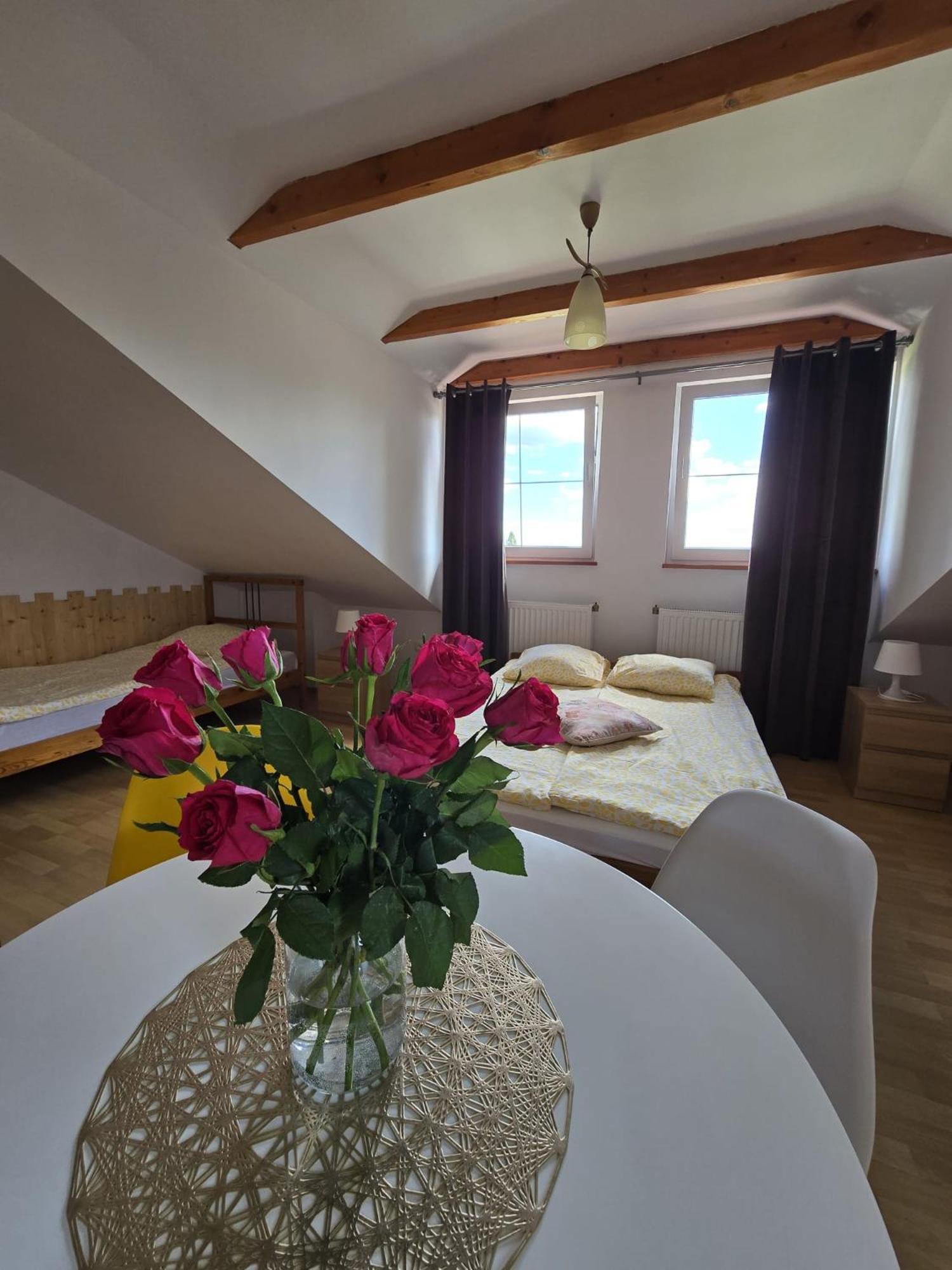 Villa Mango Wladyslawowo Chlapowo 外观 照片